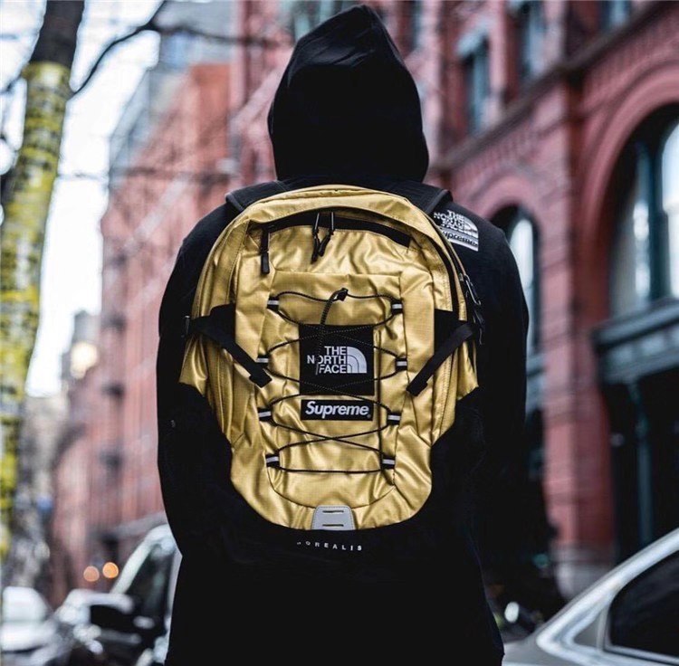 SUPREME &  THE NORTH FACE Metallic Borealis Backpack