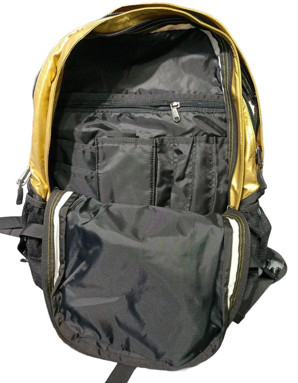SUPREME &  THE NORTH FACE Metallic Borealis Backpack